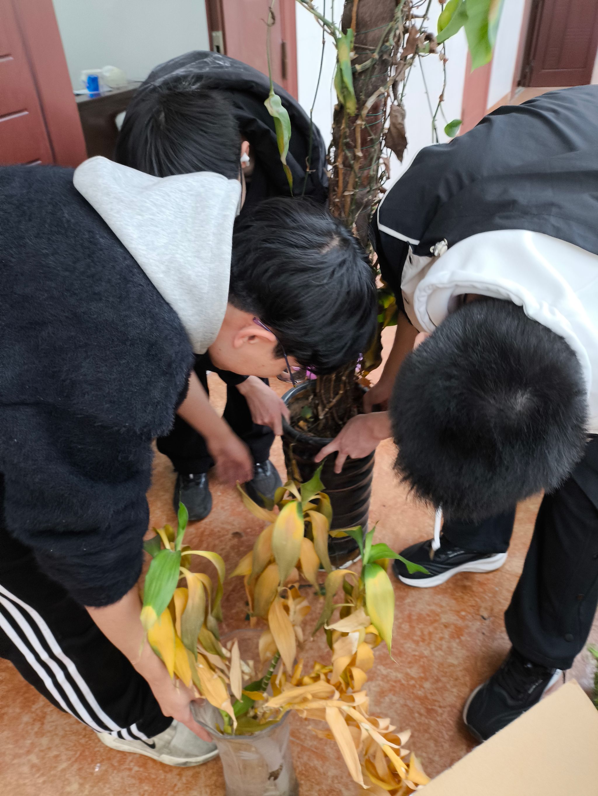 betway必威西汉姆联