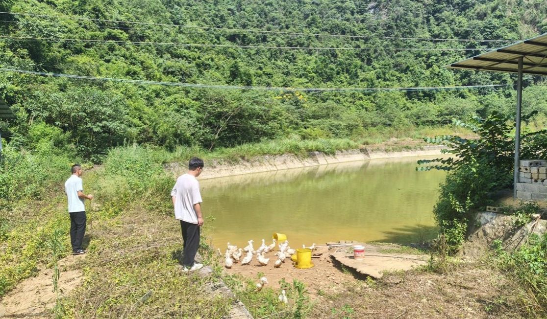 betway必威西汉姆联